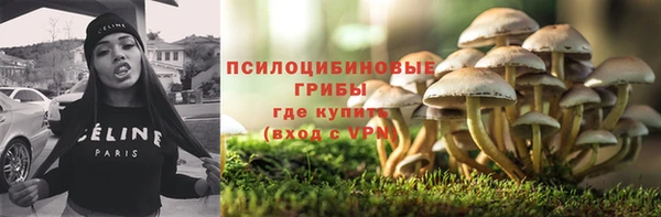 СК Куйбышев