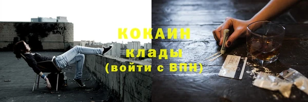 крисы Кулебаки