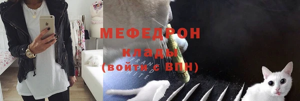 крисы Кулебаки