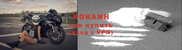 крисы Кулебаки