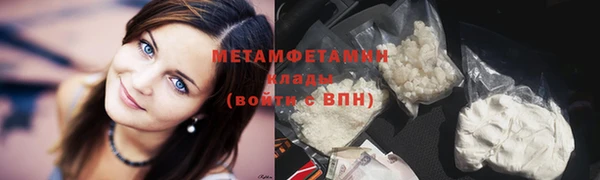 крисы Кулебаки