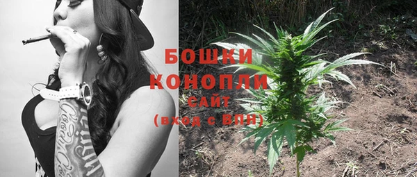 крисы Кулебаки