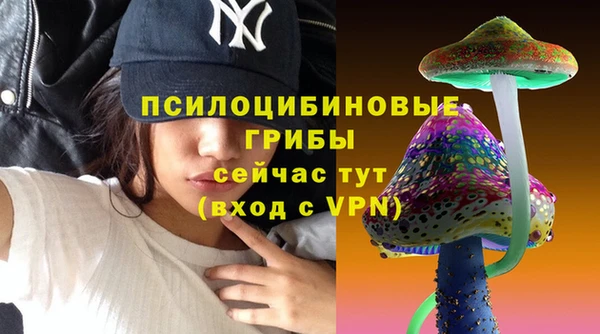 СК Куйбышев