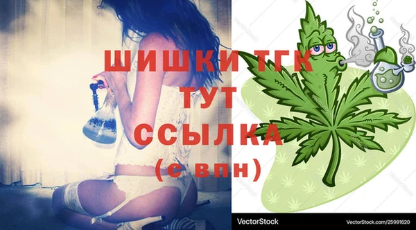 крисы Кулебаки