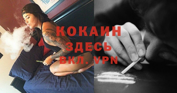 крисы Кулебаки