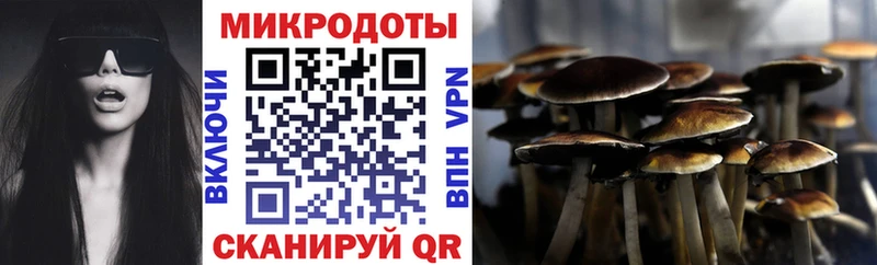 Псилоцибиновые грибы мицелий  сколько стоит  Нижневартовск 